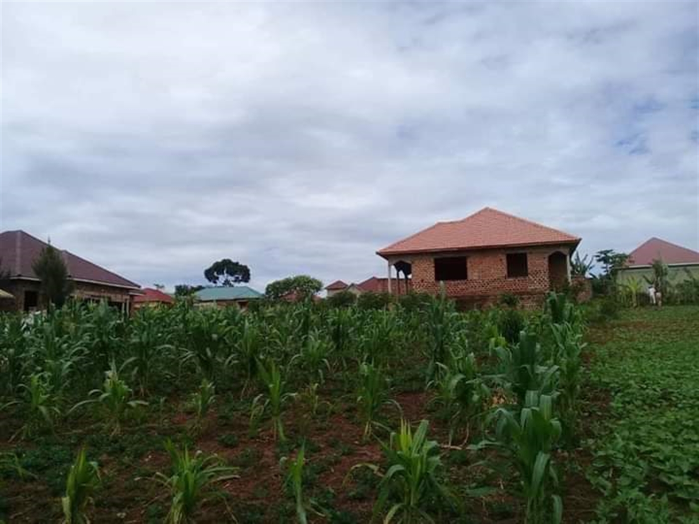 Bungalow for sale in Mukonocenter Mukono