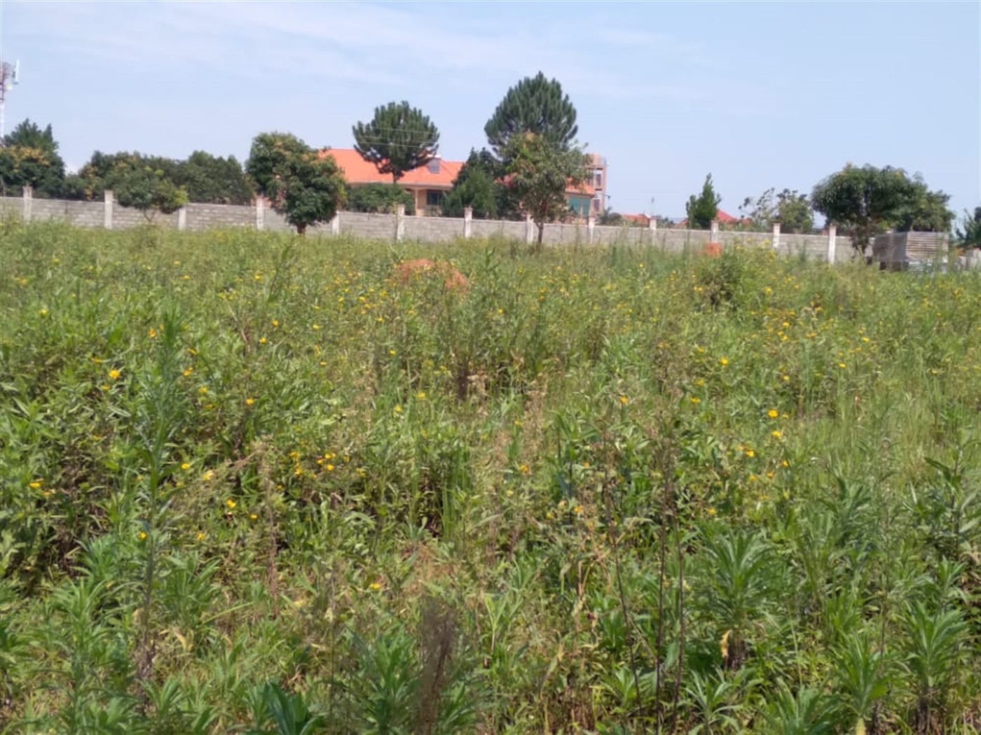 Residential Land for sale in Kajjansi Wakiso