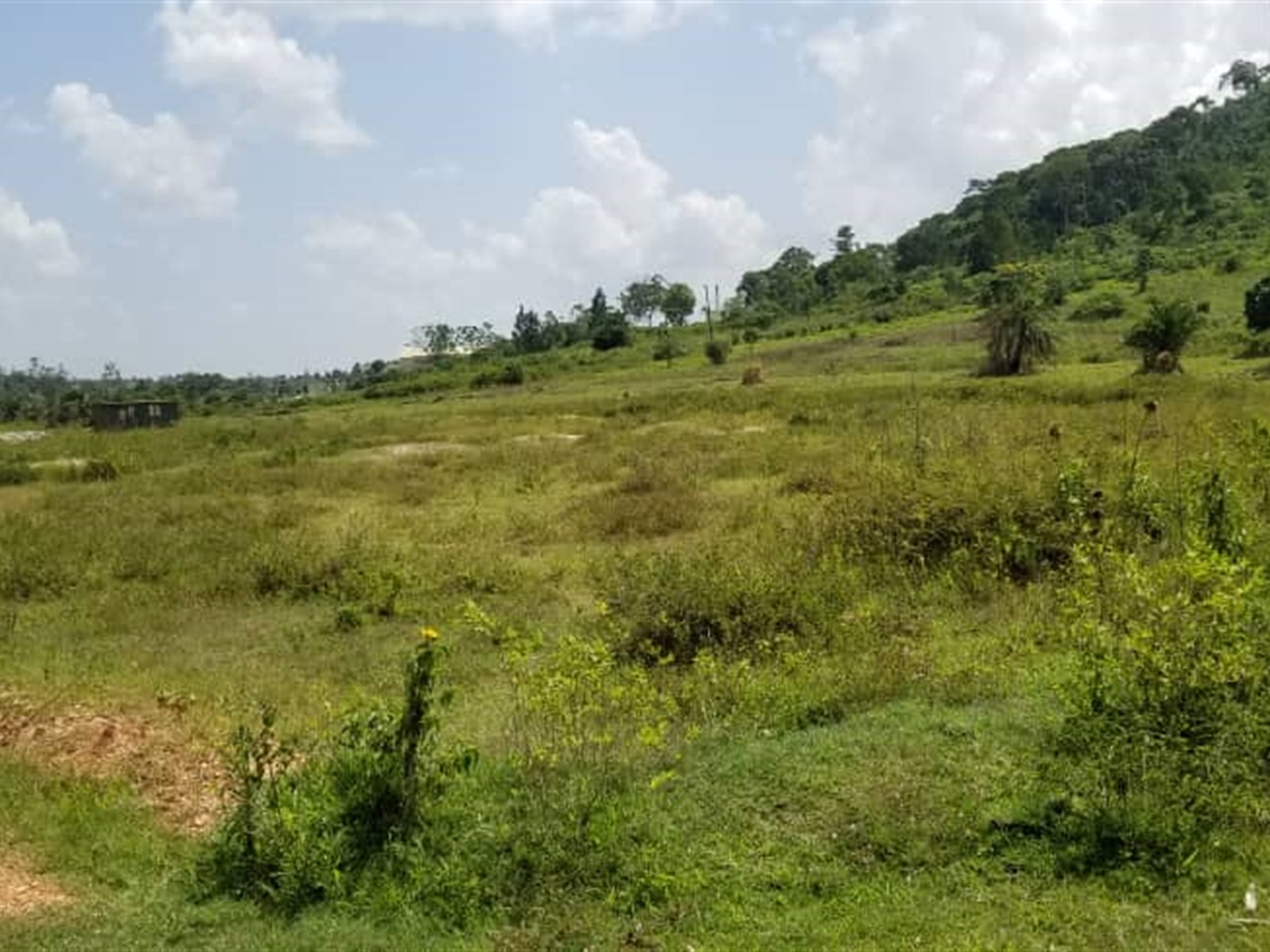 Multipurpose Land for sale in Mukono Mukono