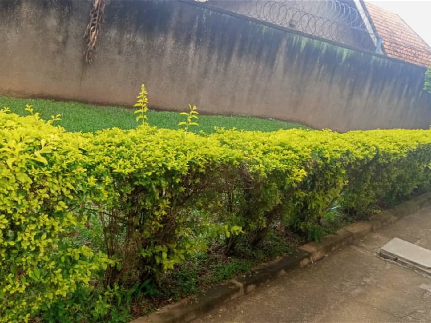 Apartment for sale in Kireka Wakiso