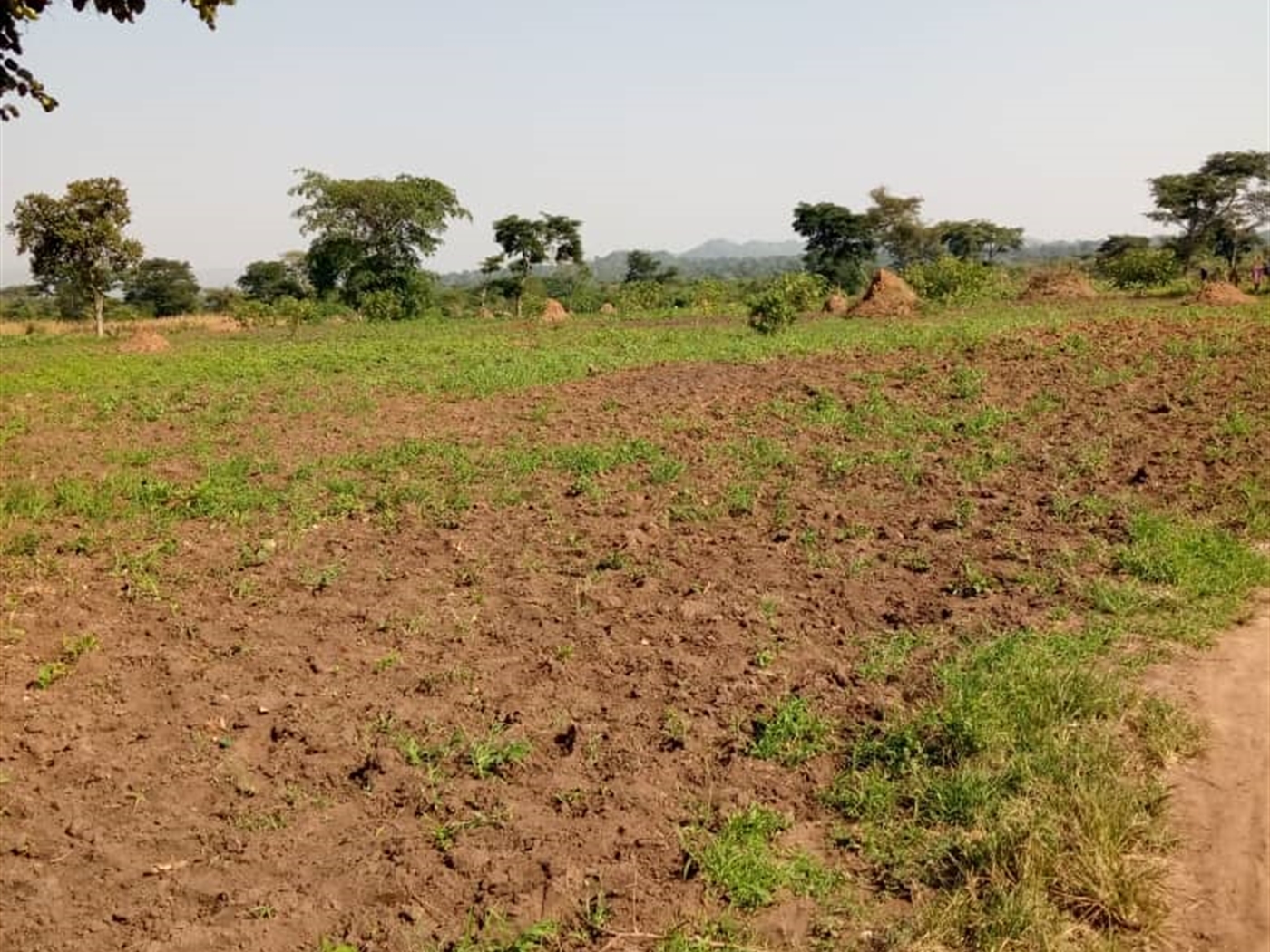 Multipurpose Land for sale in Bukomelo Wakiso