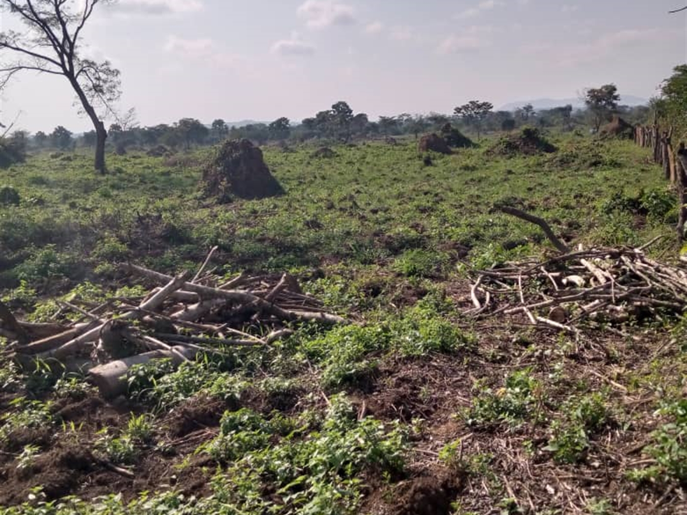 Multipurpose Land for sale in Bukomelo Wakiso