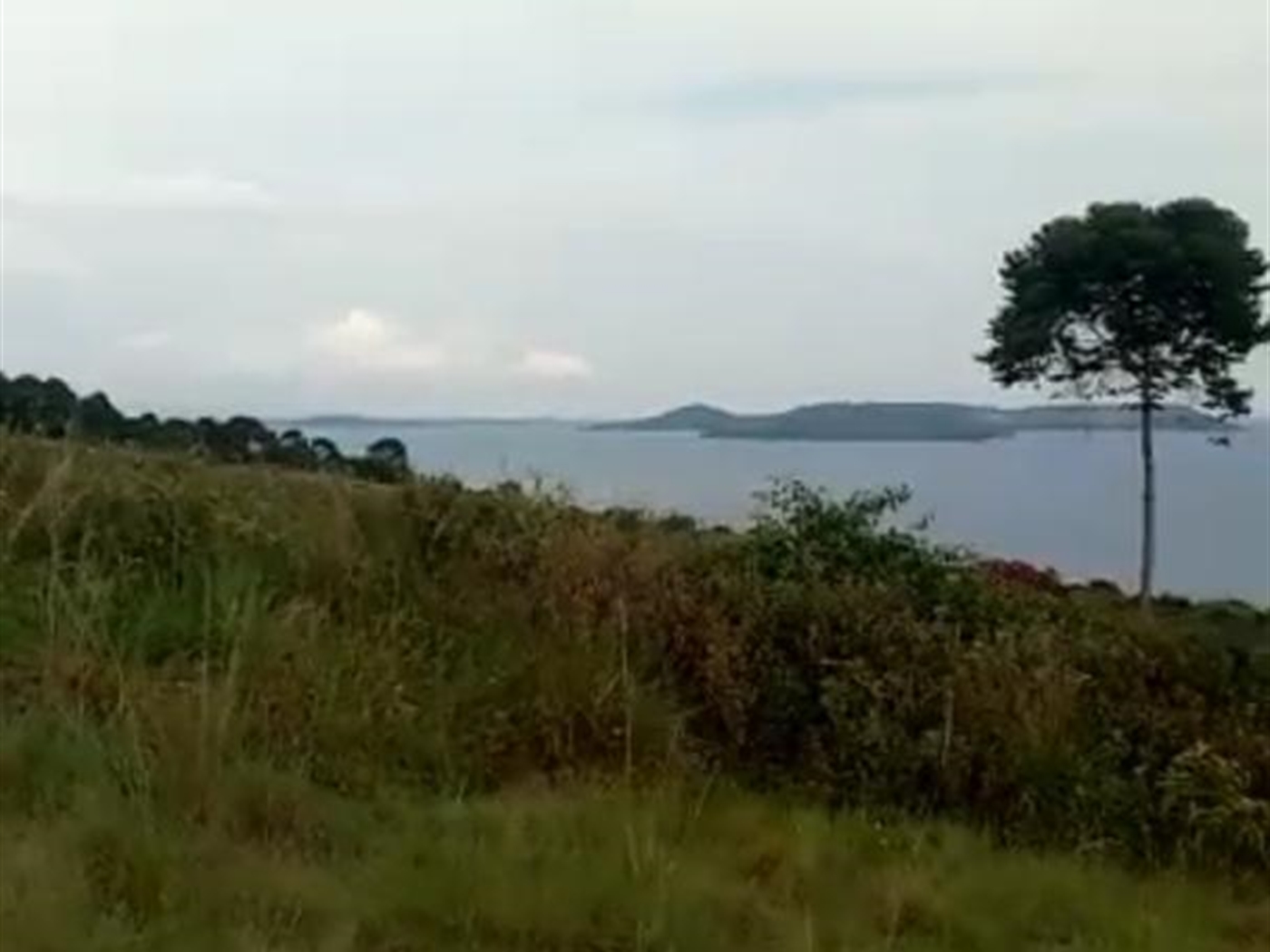 Multipurpose Land for sale in Katosi Wakiso