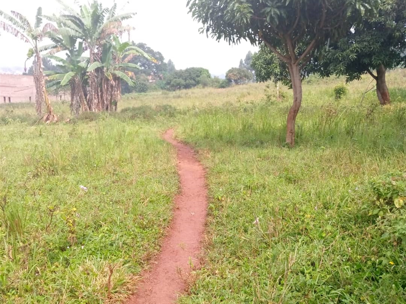 Multipurpose Land for sale in Kawuku Wakiso