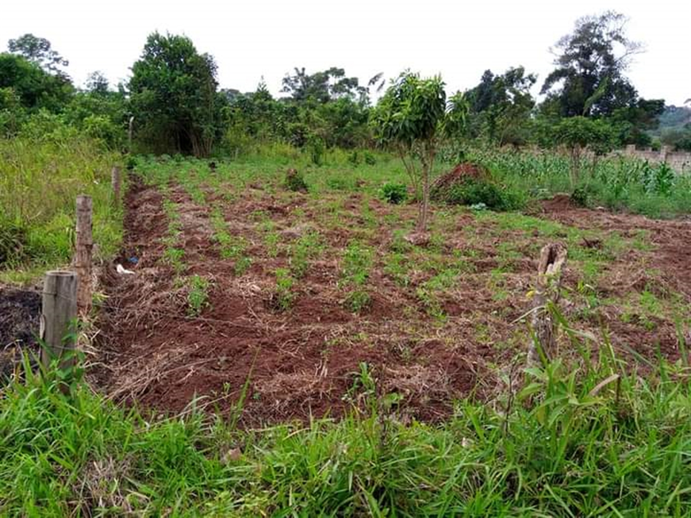 Multipurpose Land for sale in Kira Wakiso