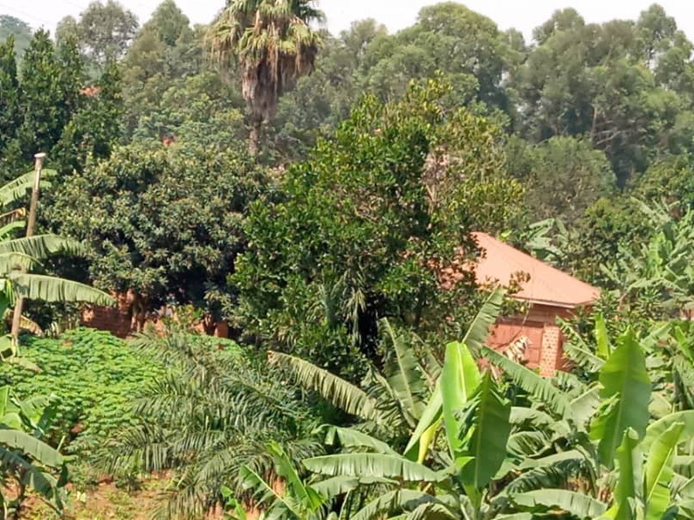 Bungalow for sale in Kira Wakiso