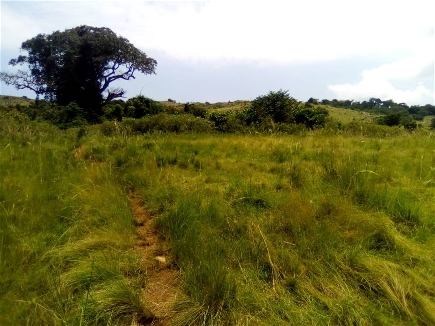 Multipurpose Land for sale in Muyubwe Buyikwe