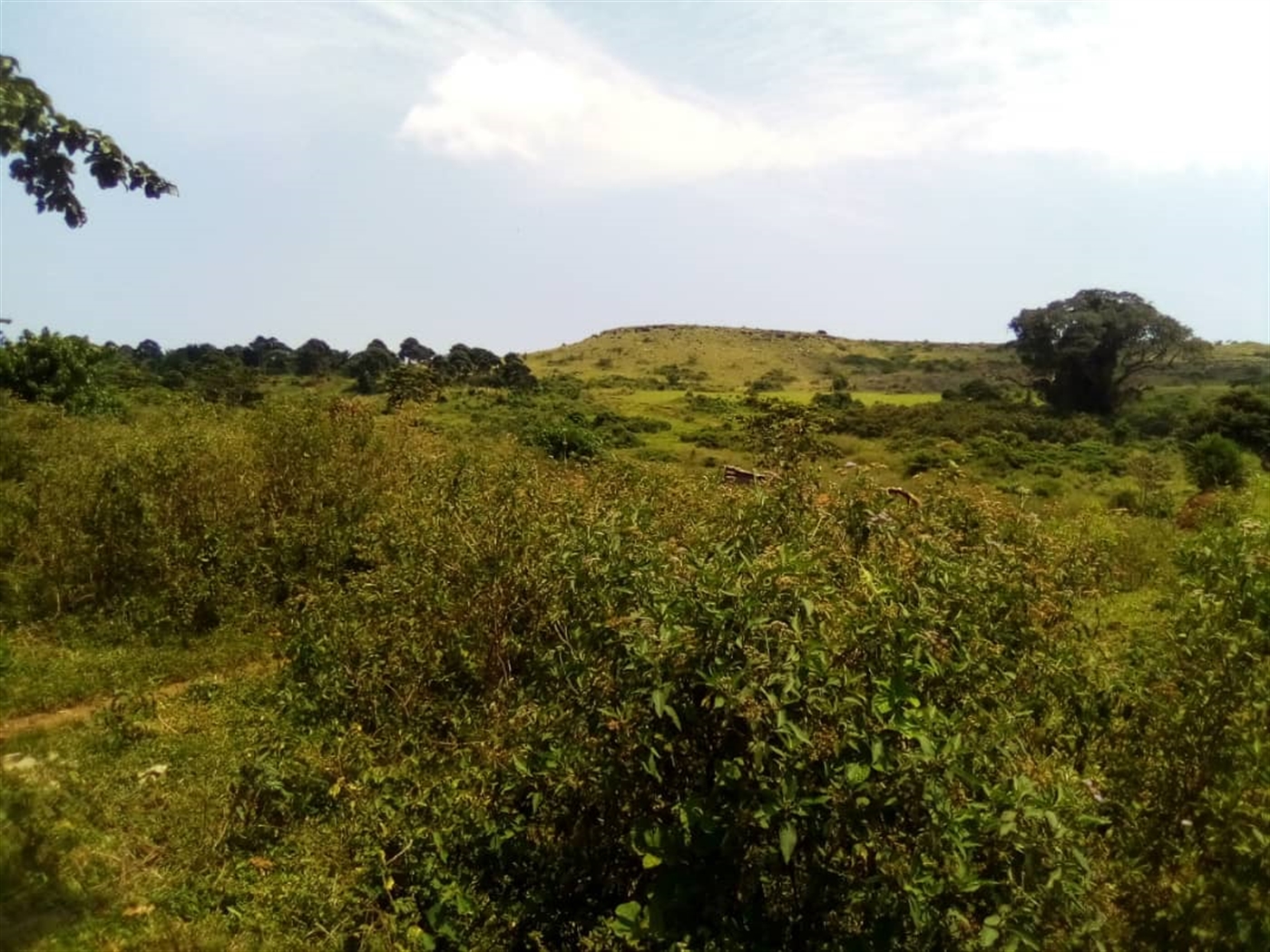 Multipurpose Land for sale in Muyubwe Buyikwe