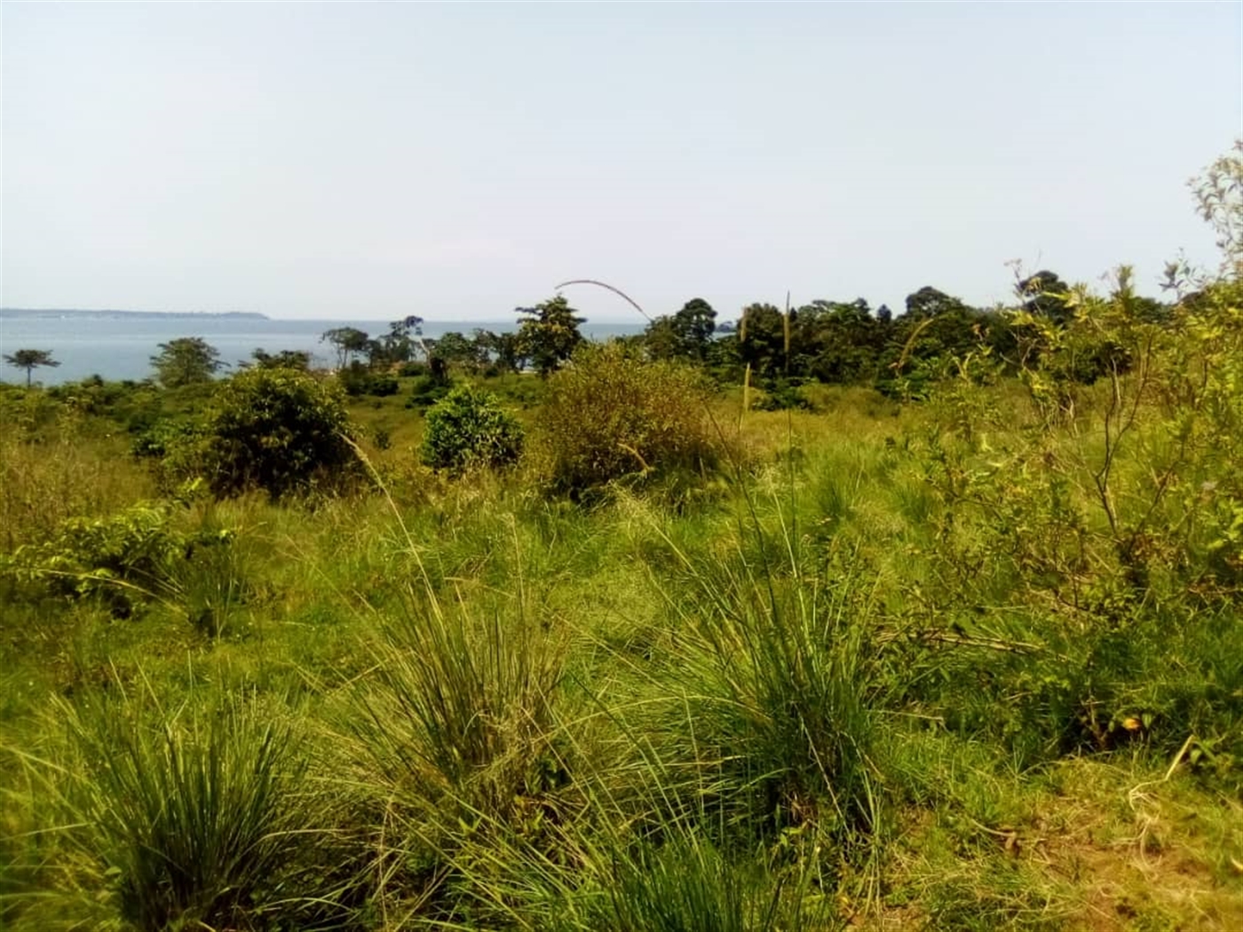 Multipurpose Land for sale in Muyubwe Buyikwe