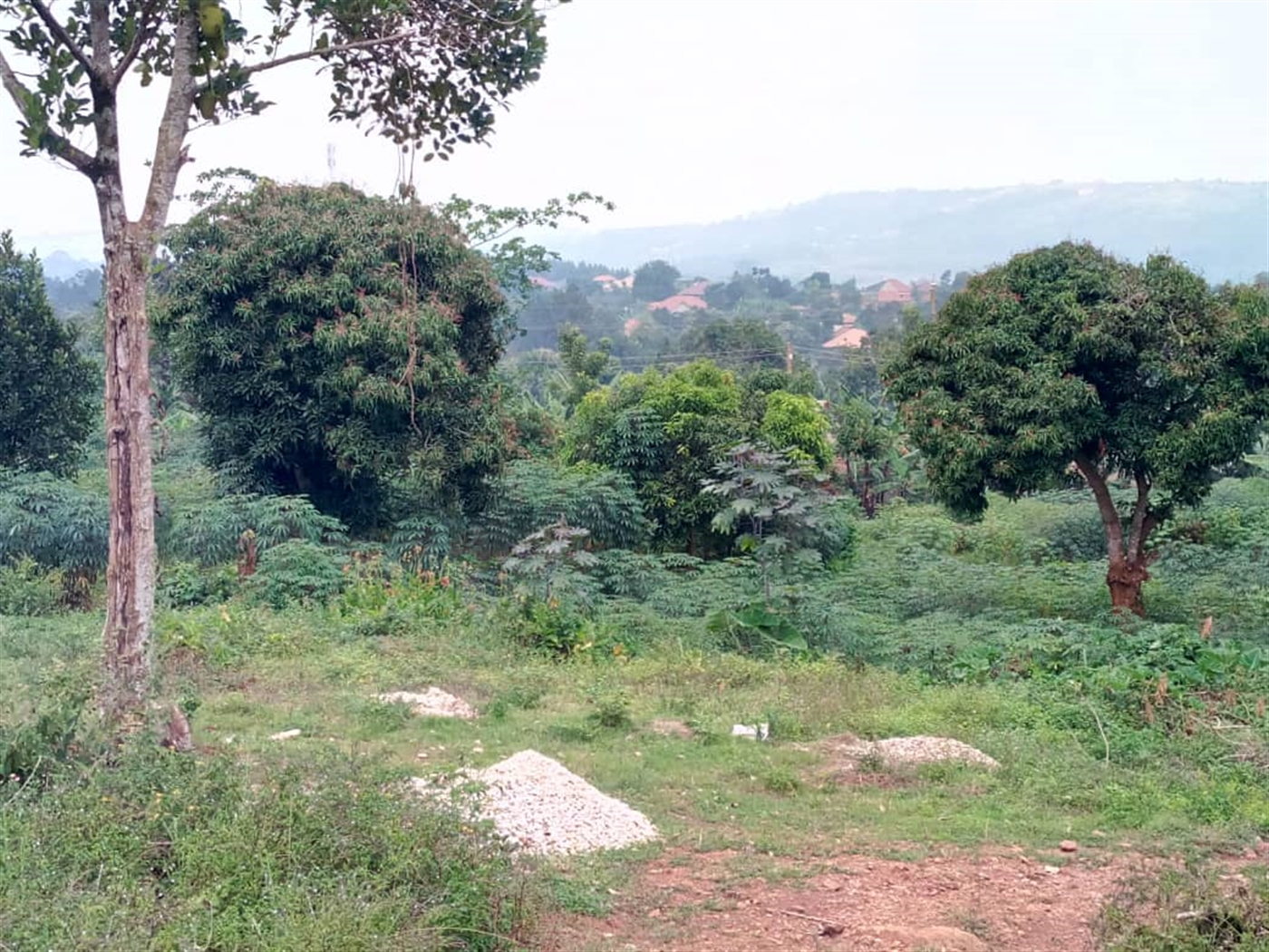 Multipurpose Land for sale in Makandwa Wakiso