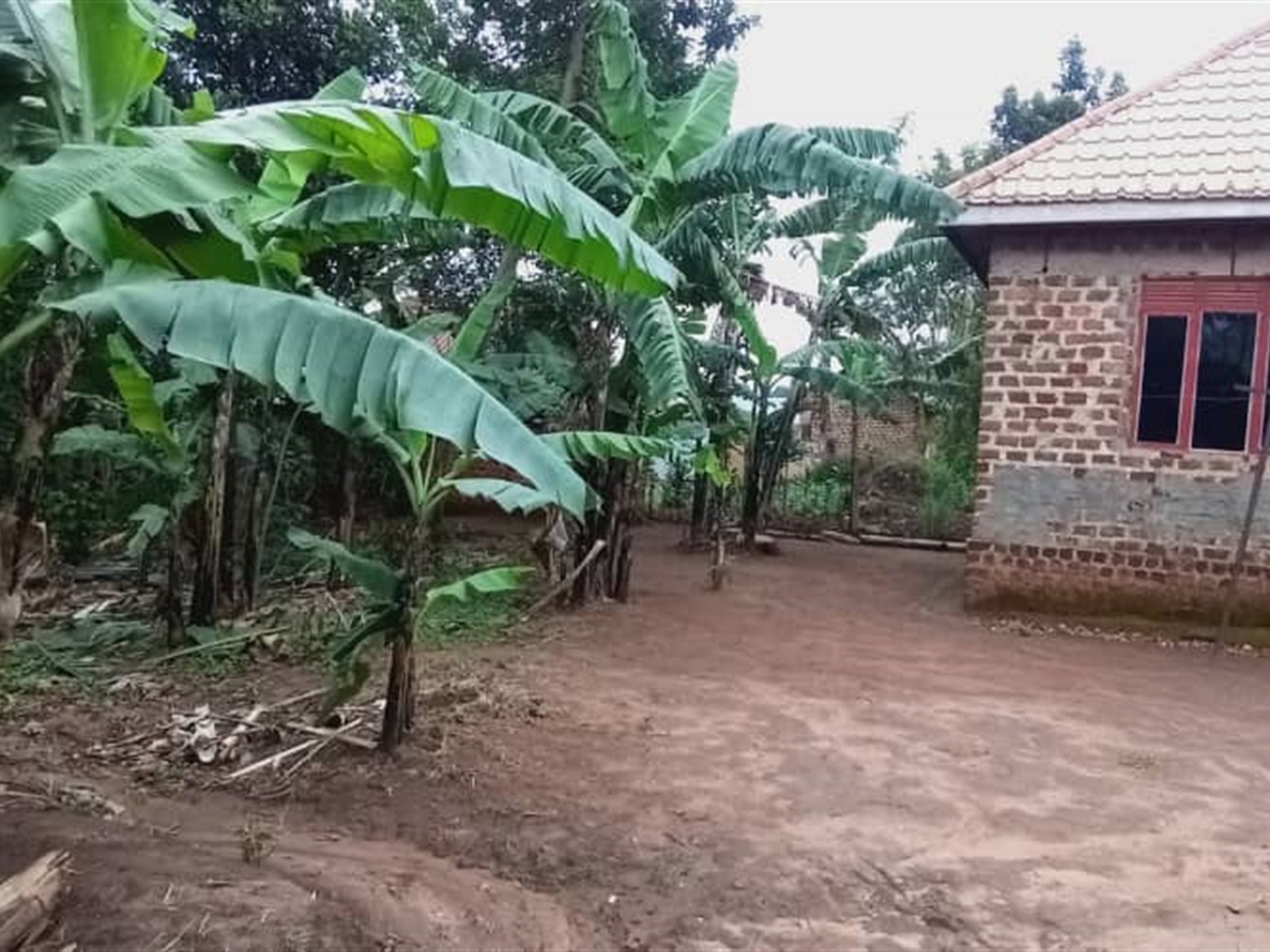 Bungalow for sale in Kimwanyi Wakiso