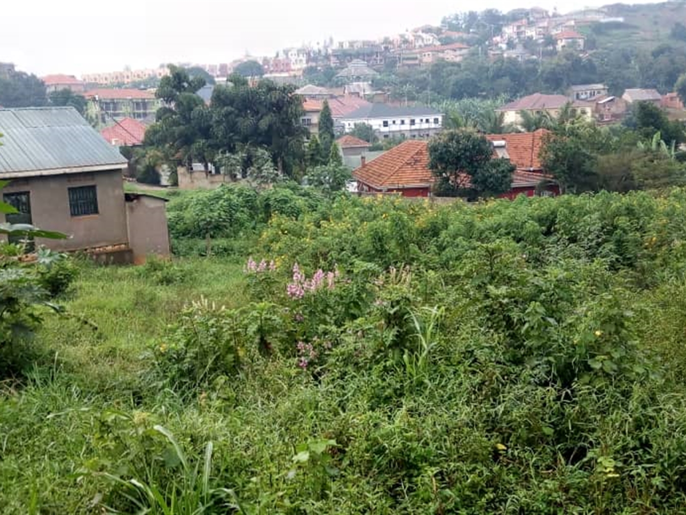 Multipurpose Land for sale in Ndejje Luweero