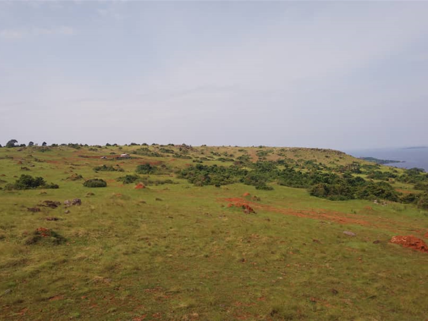 Multipurpose Land for sale in Nkokonjeru Mukono