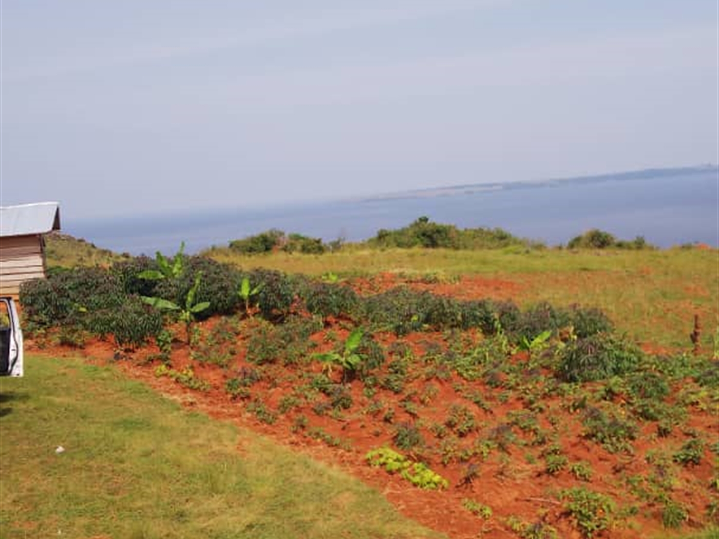 Multipurpose Land for sale in Nkokonjeru Mukono