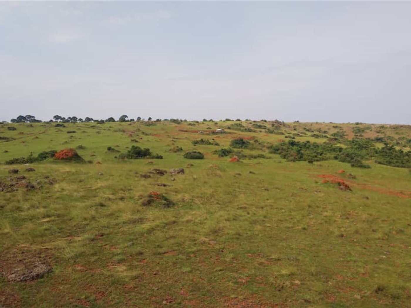 Multipurpose Land for sale in Nkokonjeru Mukono