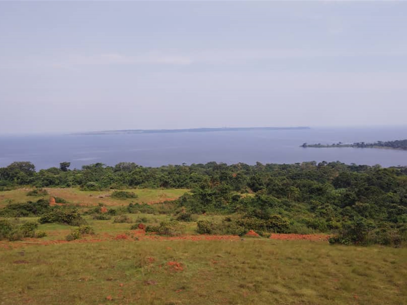 Multipurpose Land for sale in Nkokonjeru Mukono