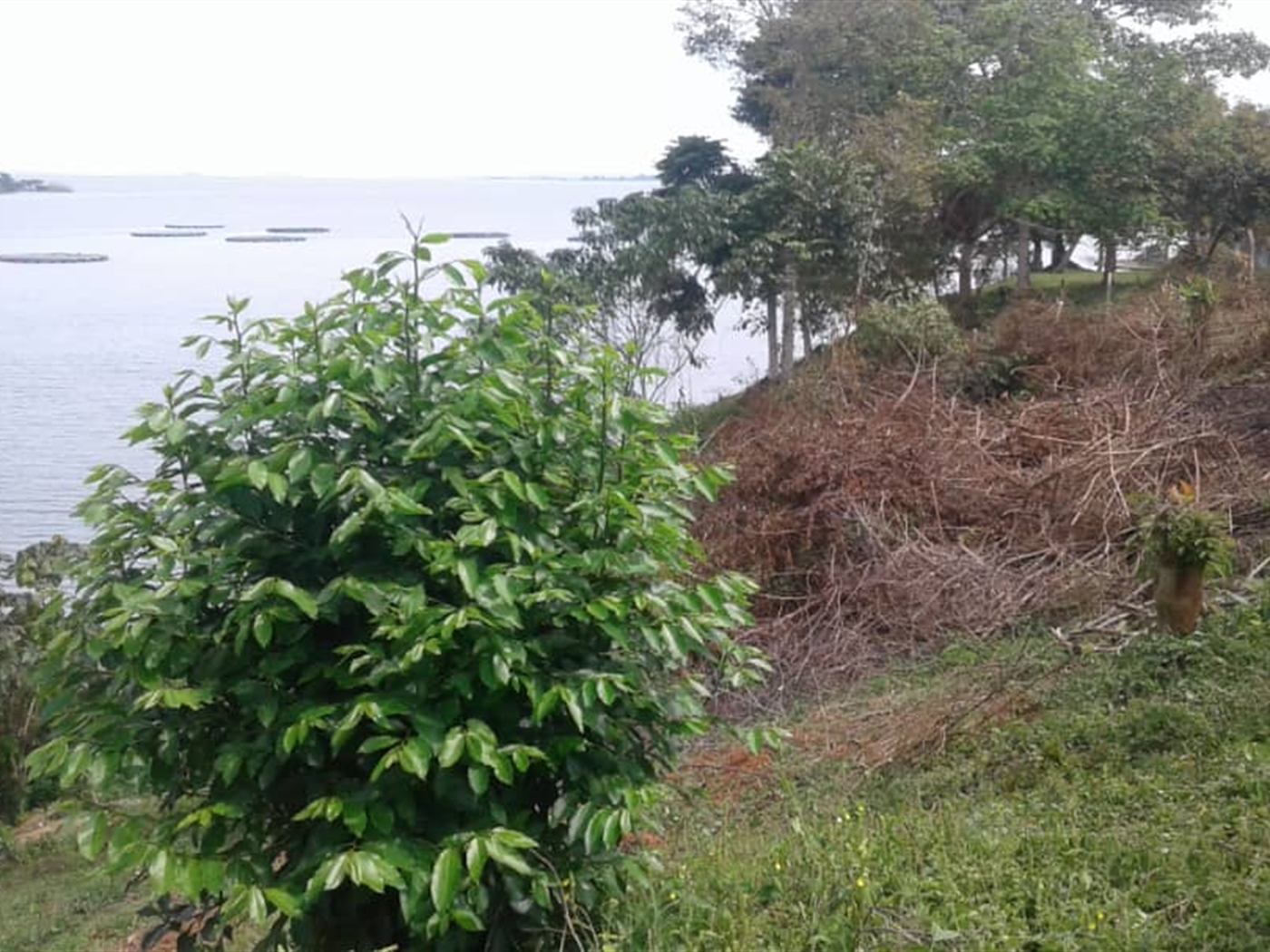 Multipurpose Land for sale in Entebbe Bugiri