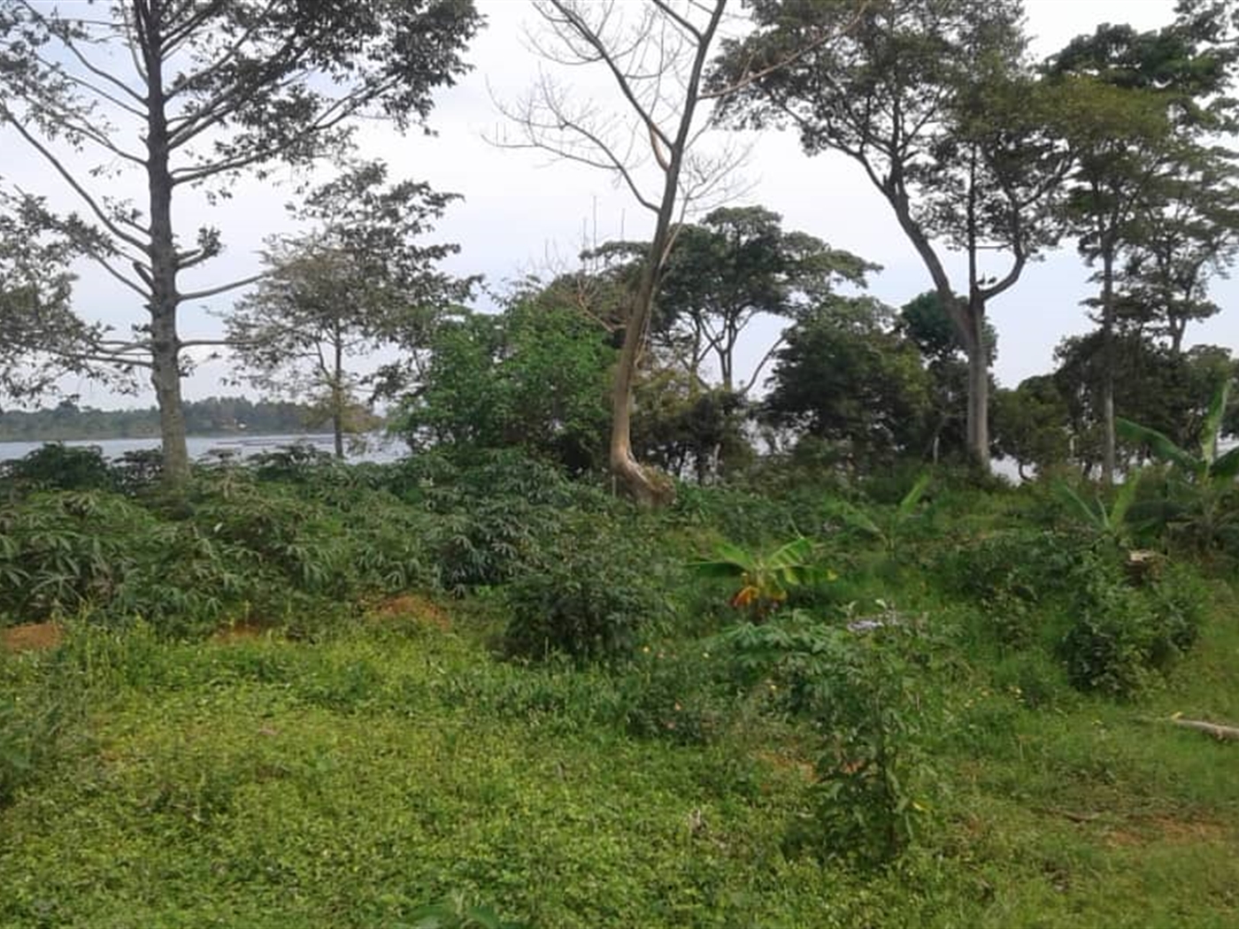 Multipurpose Land for sale in Entebbe Bugiri