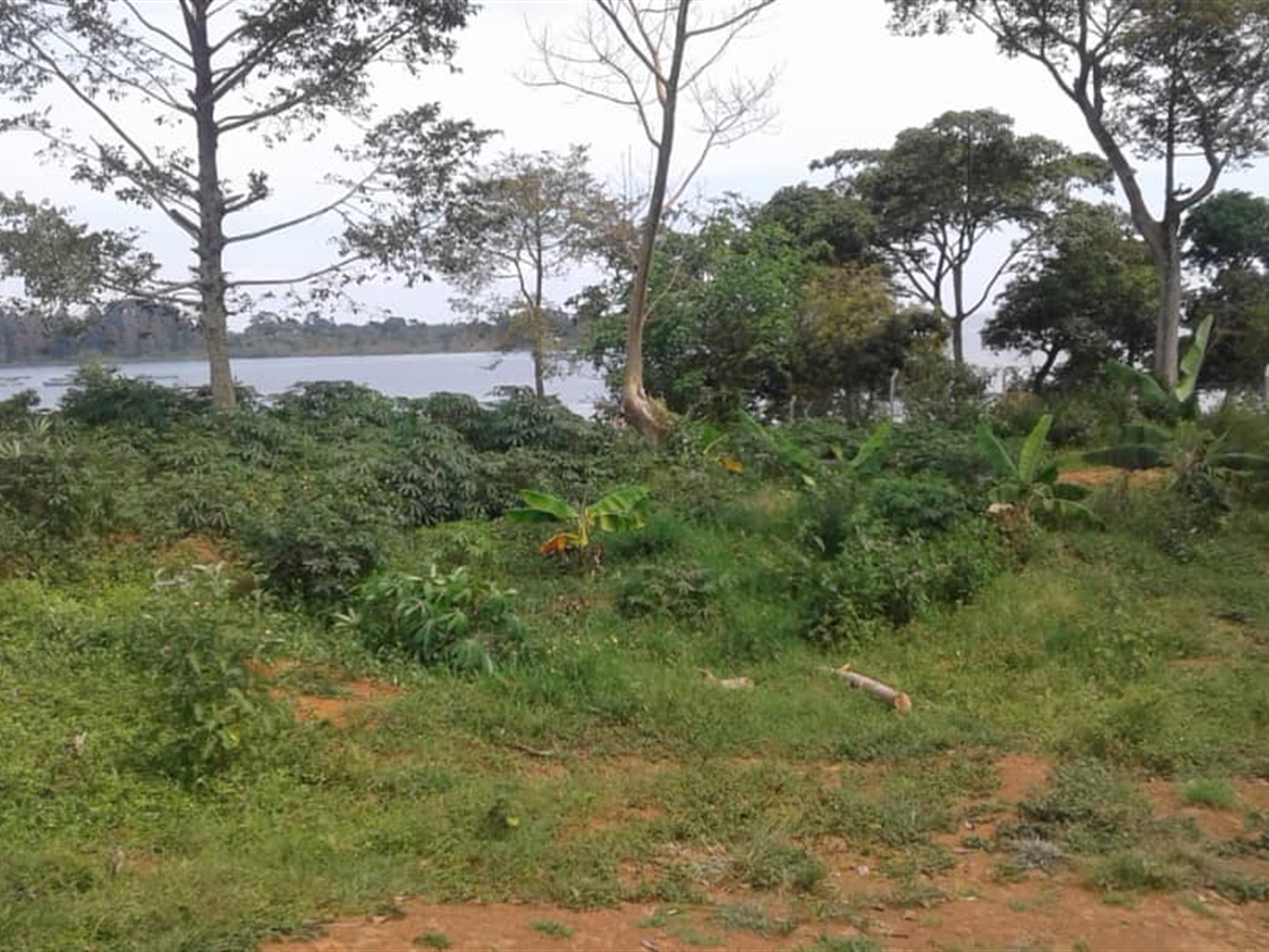 Multipurpose Land for sale in Entebbe Bugiri
