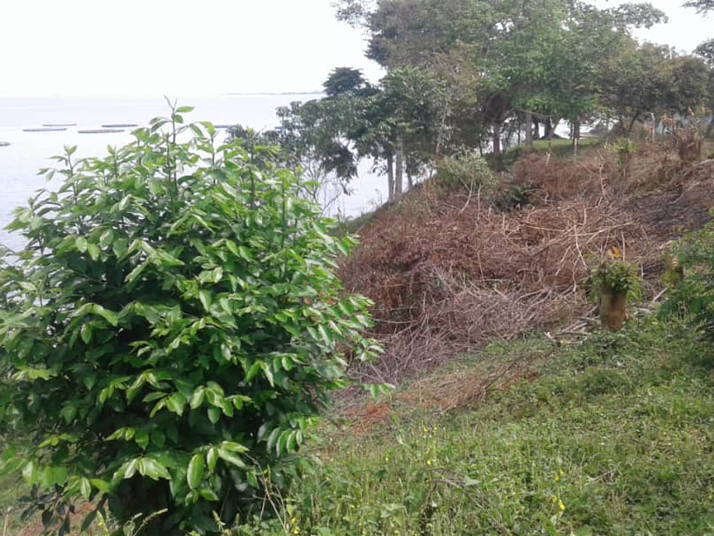 Multipurpose Land for sale in Entebbe Bugiri