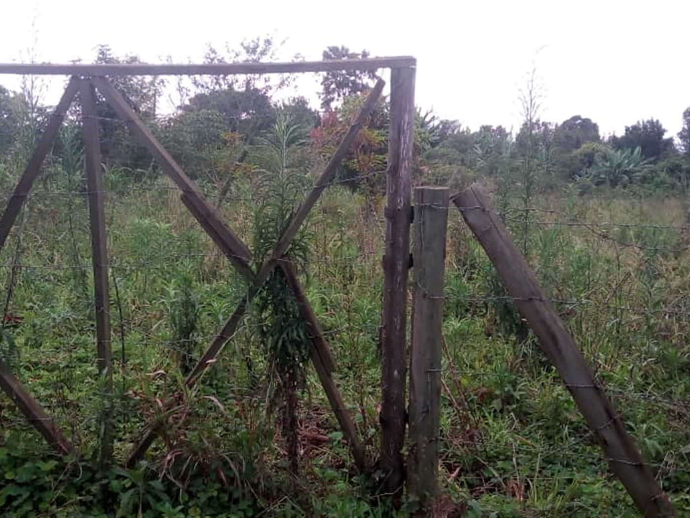 Multipurpose Land for sale in Mpoma Mukono