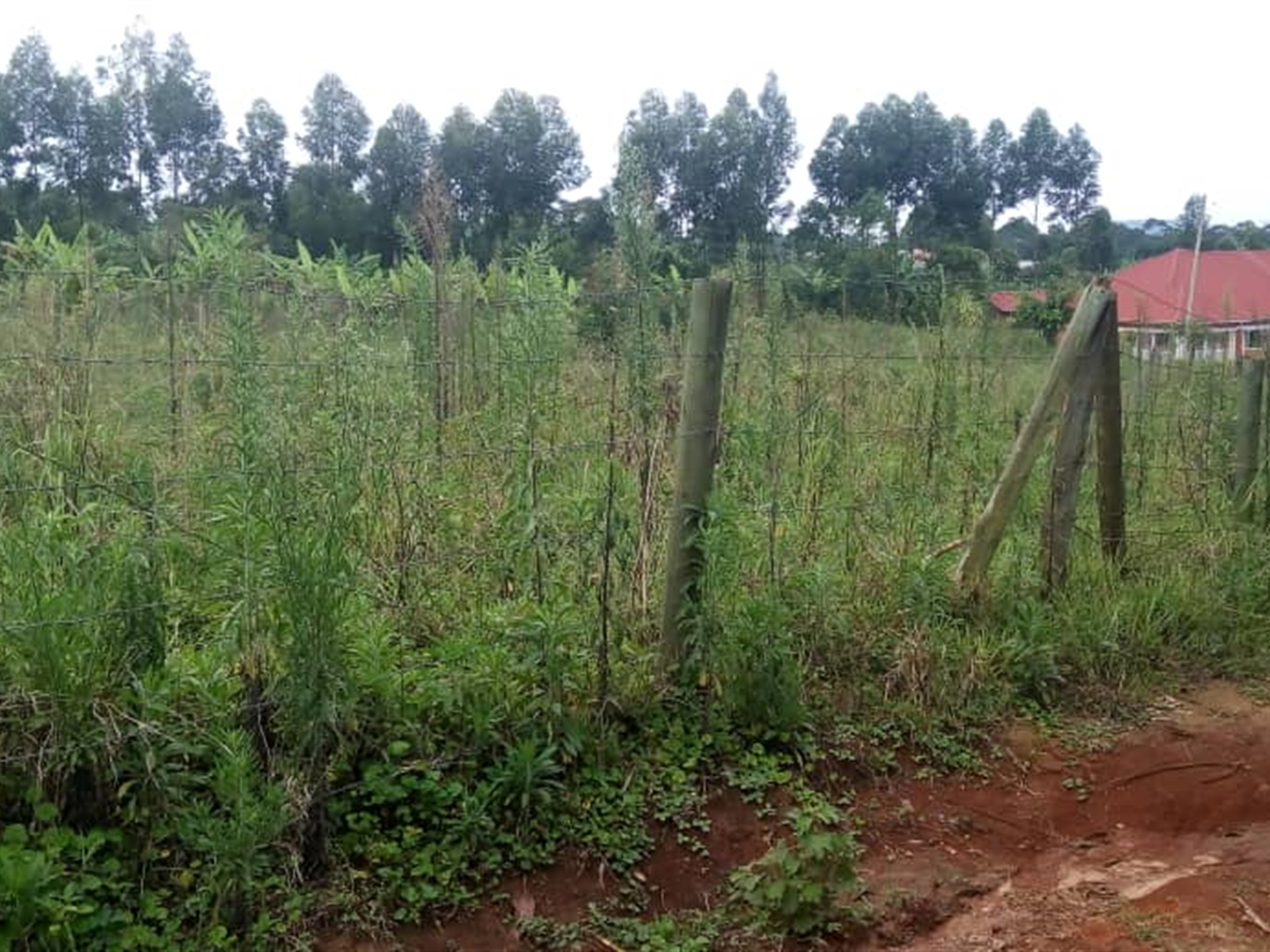 Multipurpose Land for sale in Mpoma Mukono