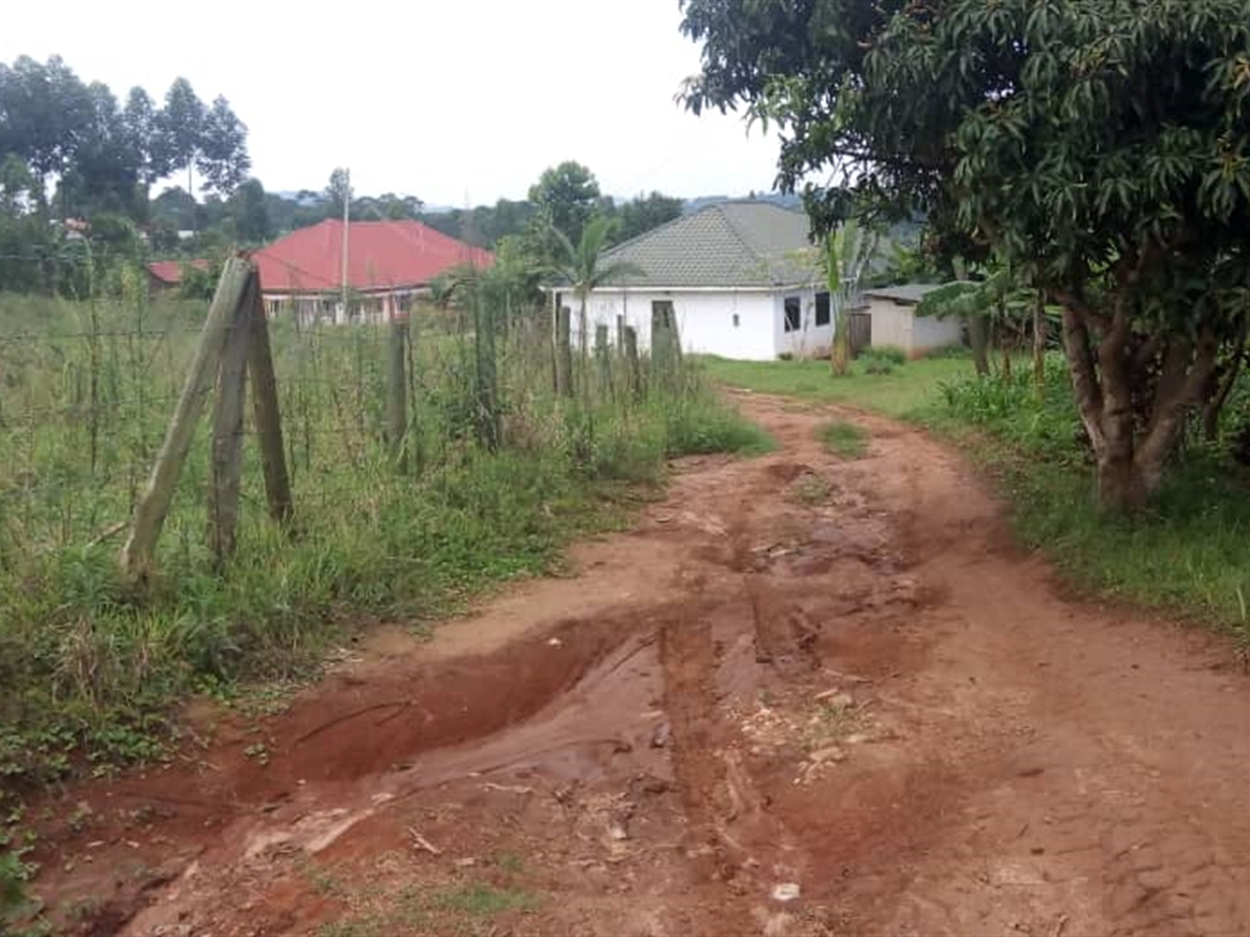 Multipurpose Land for sale in Mpoma Mukono