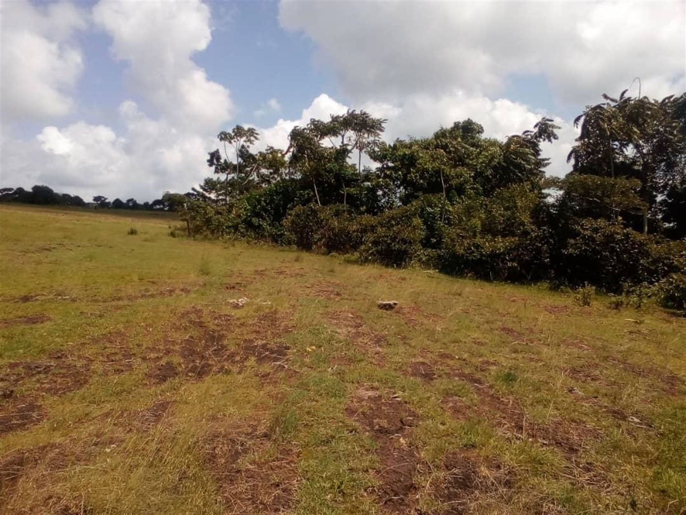 Multipurpose Land for sale in Kyotela Rakai