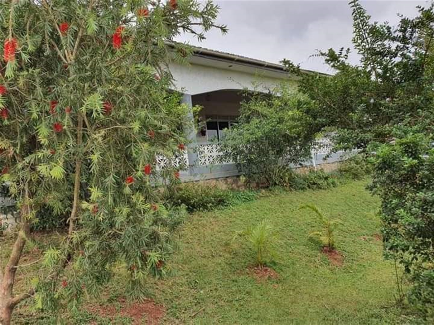 Bungalow for sale in Kawuku Wakiso