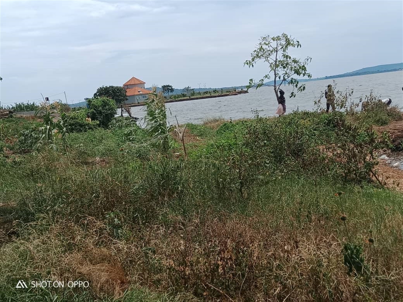 Multipurpose Land for sale in Busaabala Kampala