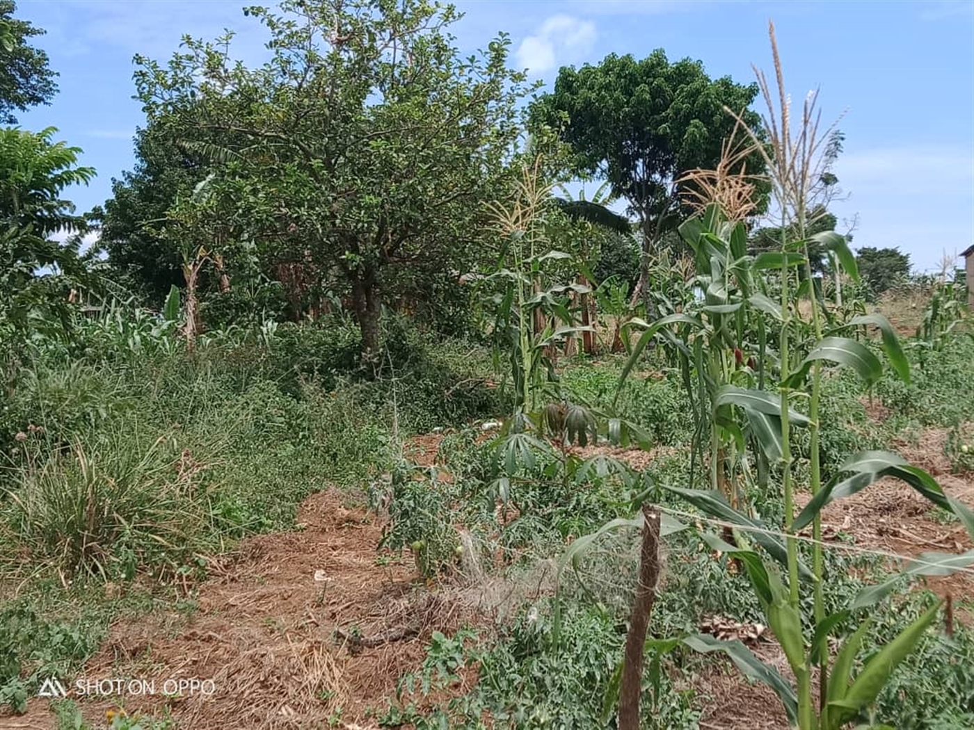 Multipurpose Land for sale in Busaabala Kampala