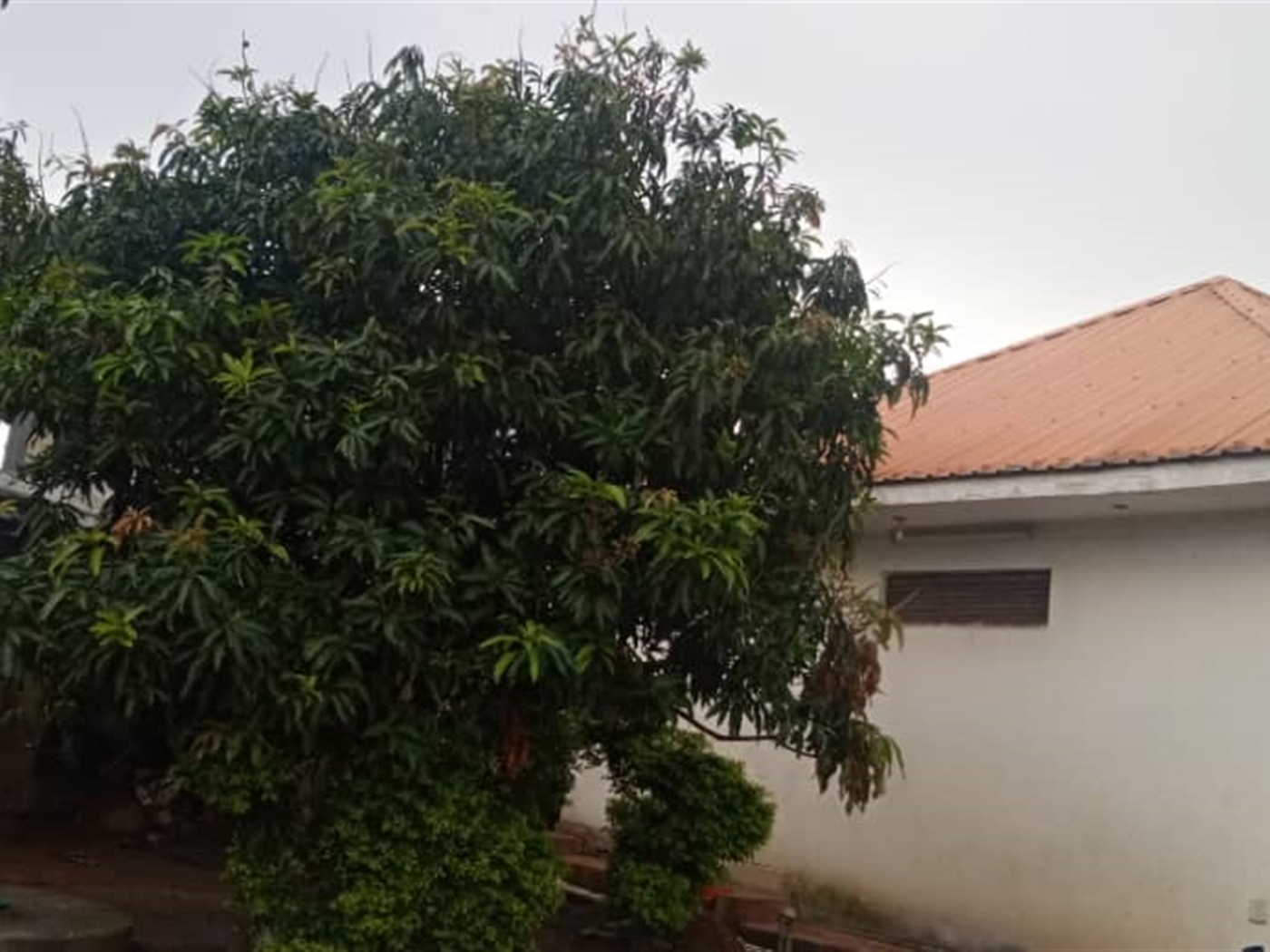 Bungalow for sale in Namugongo Wakiso