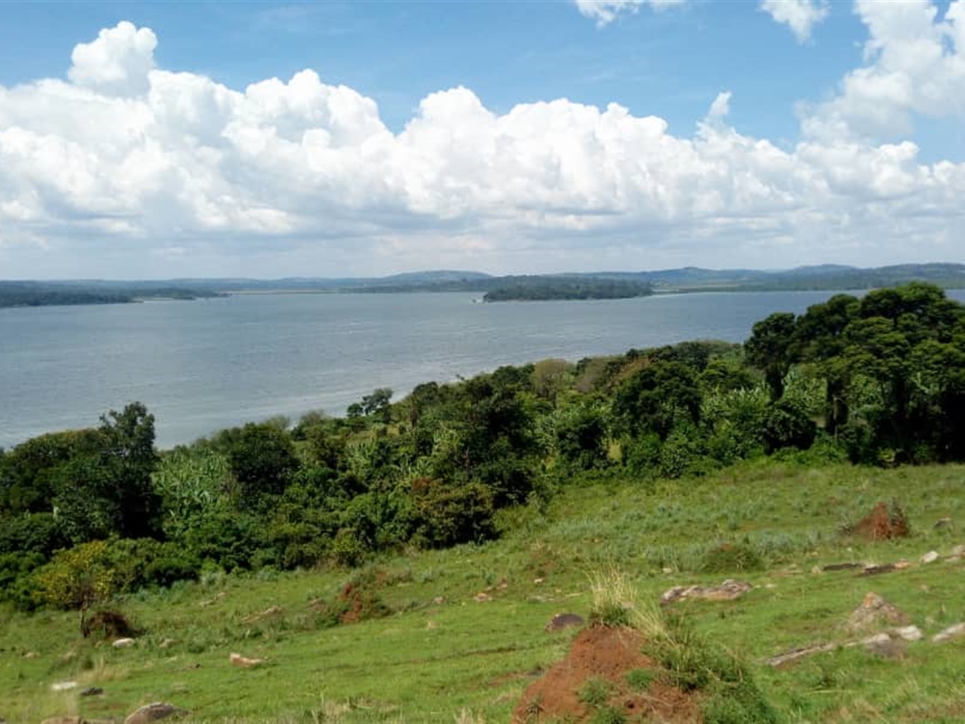 Multipurpose Land for sale in Nkokonjeru Wakiso