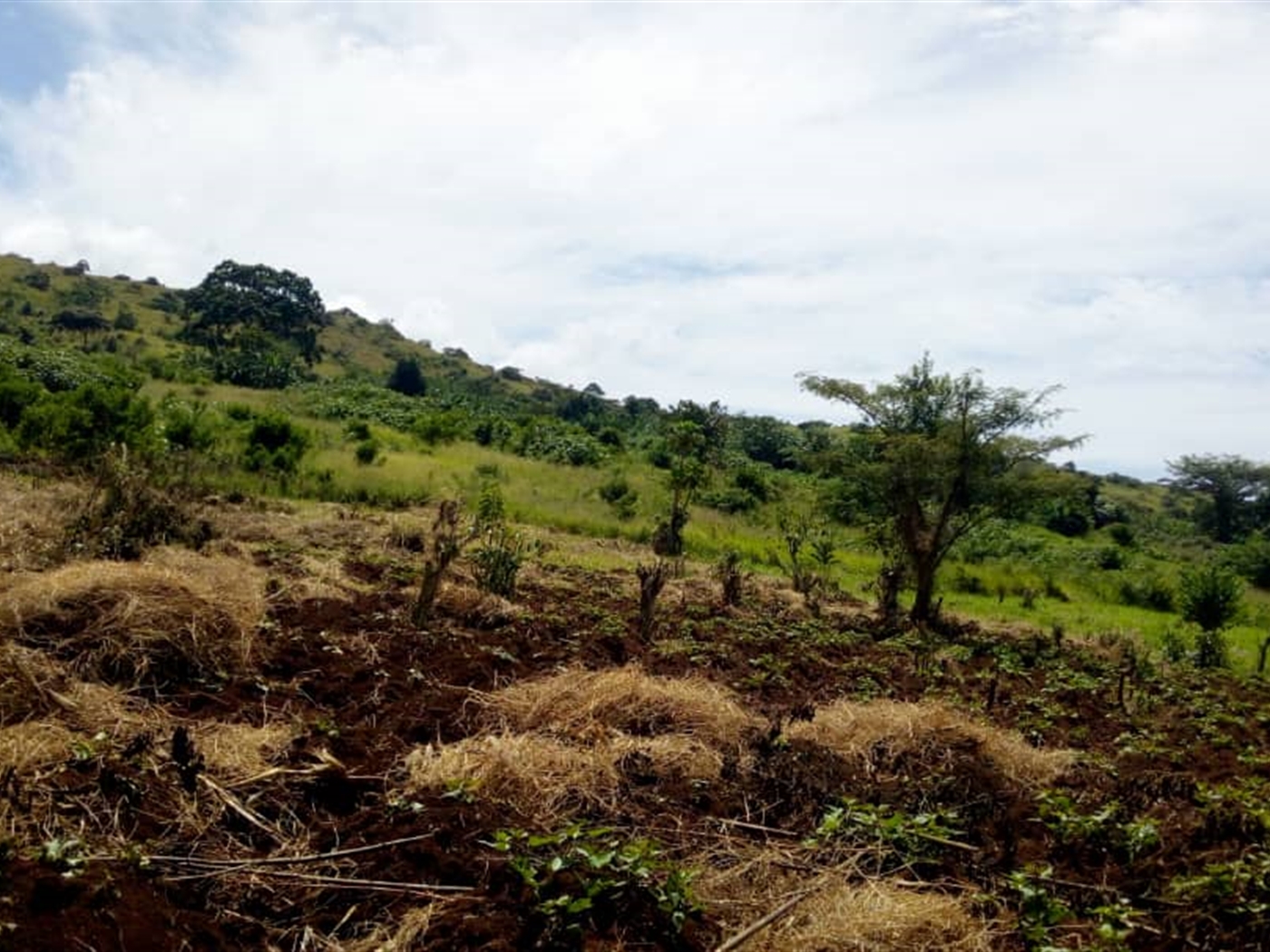 Multipurpose Land for sale in Nkokonjeru Wakiso