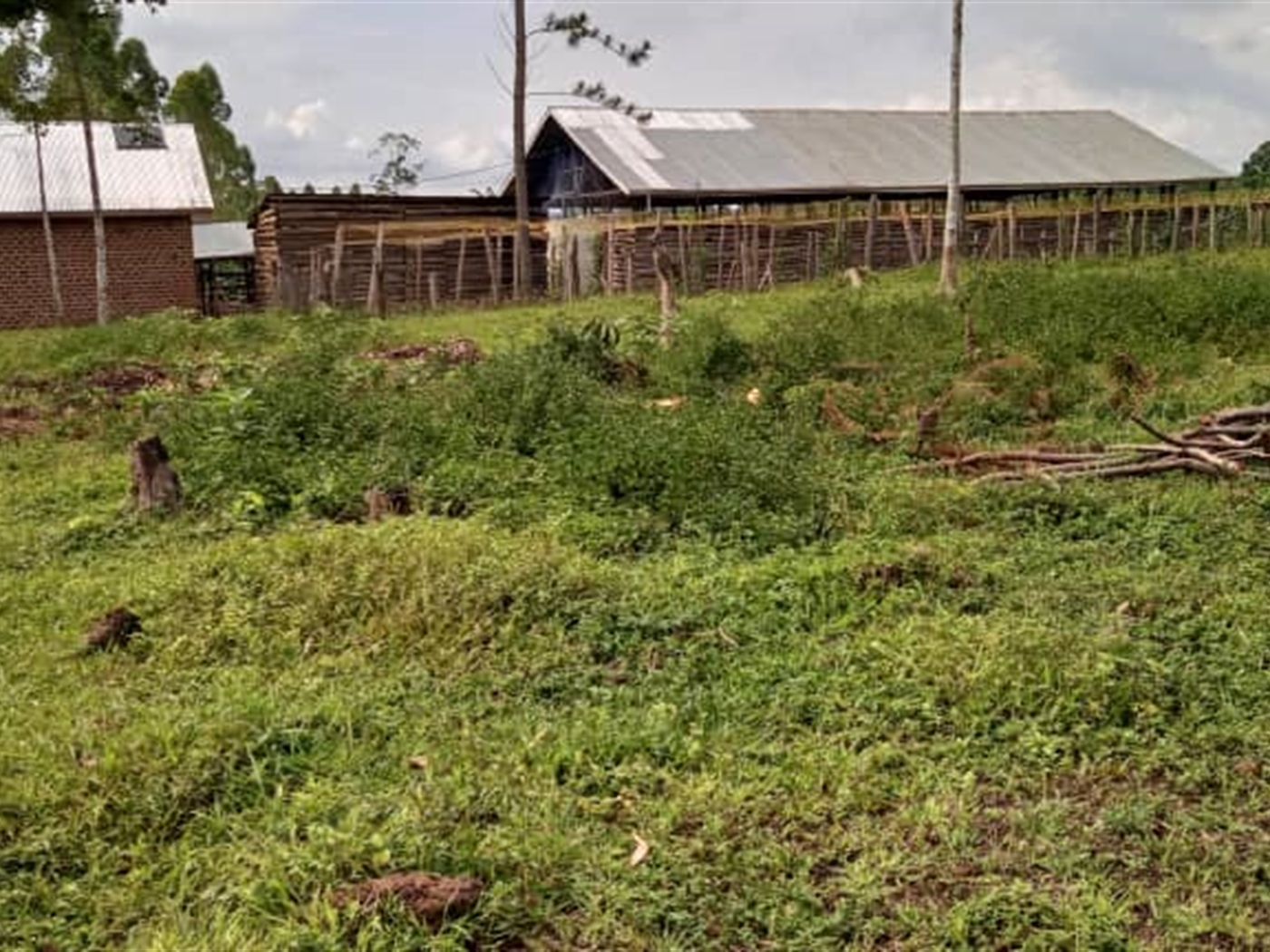 Agricultural Land for sale in Mitiyana Mityana