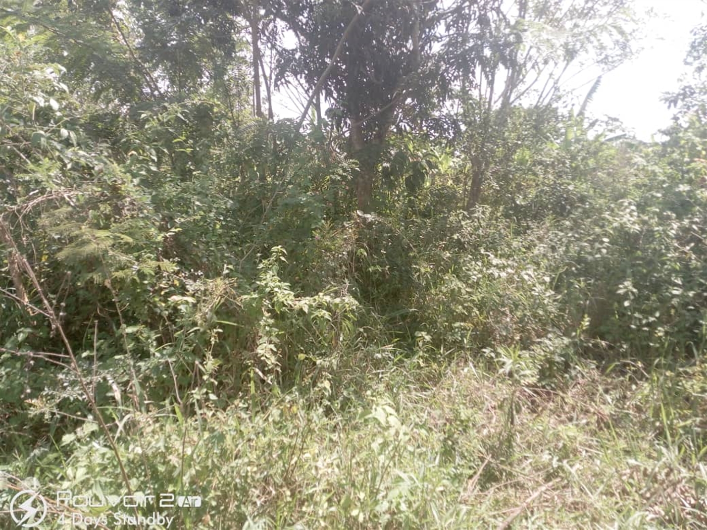 Multipurpose Land for sale in Kikyuusa Luweero