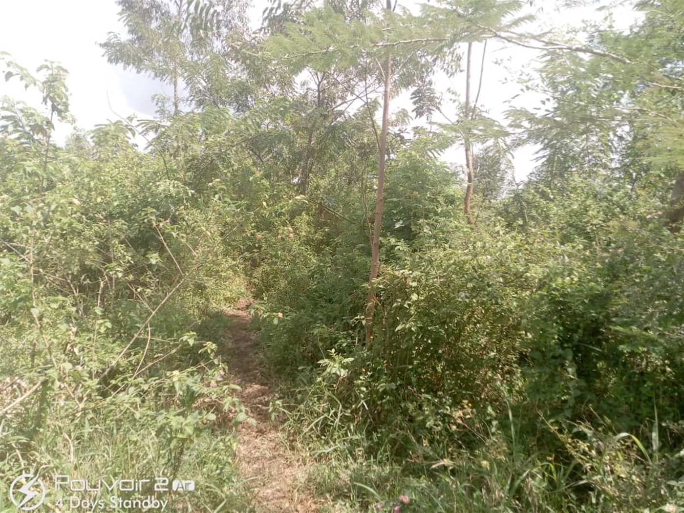 Multipurpose Land for sale in Kikyuusa Luweero