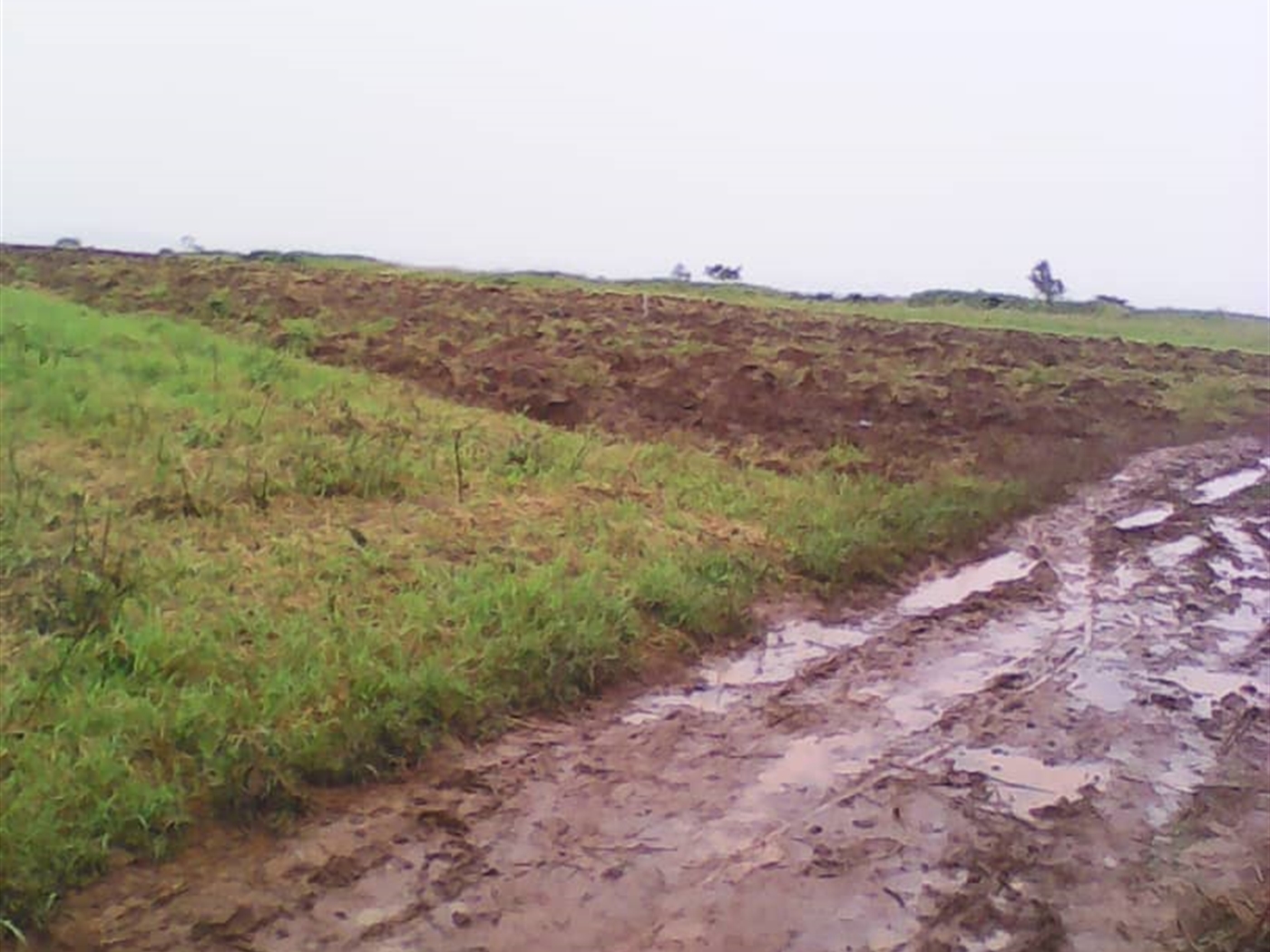 Multipurpose Land for sale in Lukyamu Nakaseke