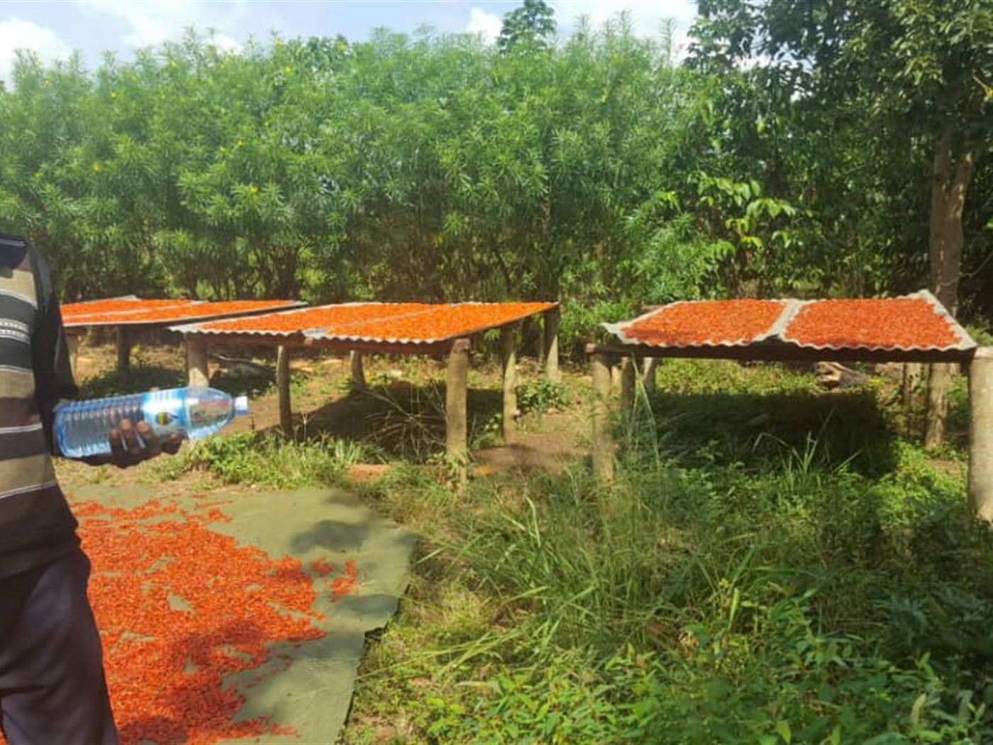Multipurpose Land for sale in Myanzi Mityana