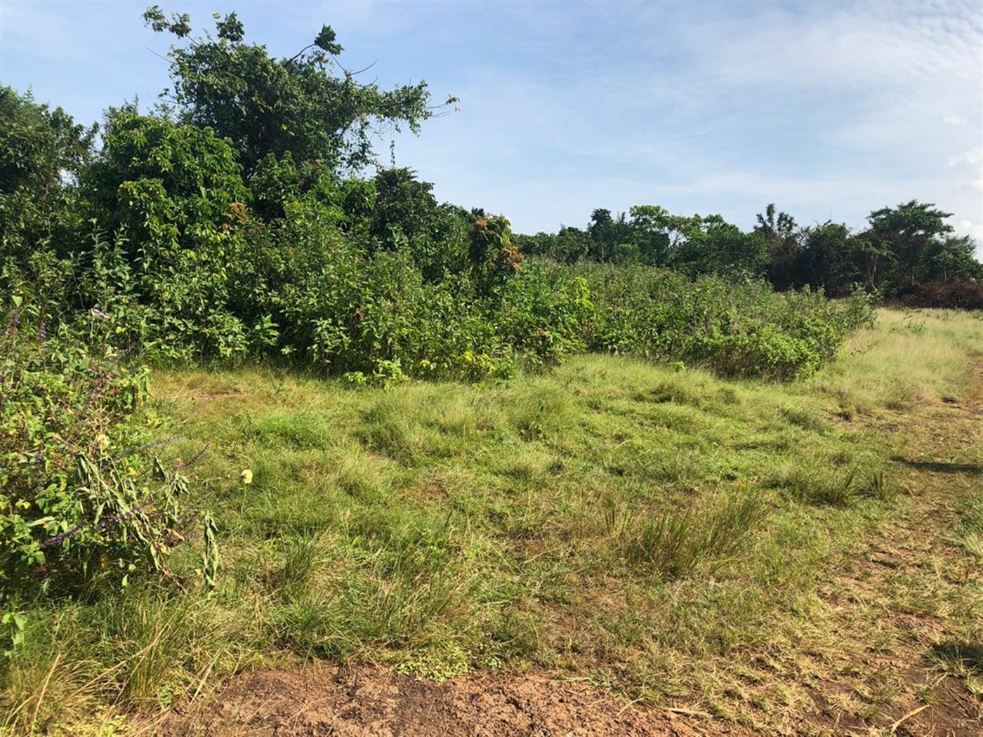 Multipurpose Land for sale in Kasanjje Wakiso