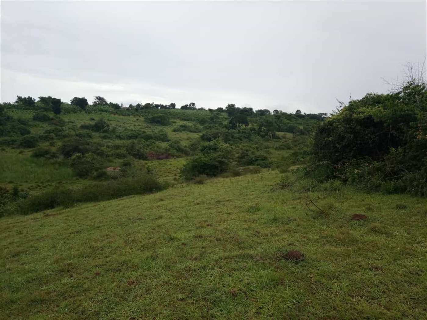 Multipurpose Land for sale in Mbilizi Masaka