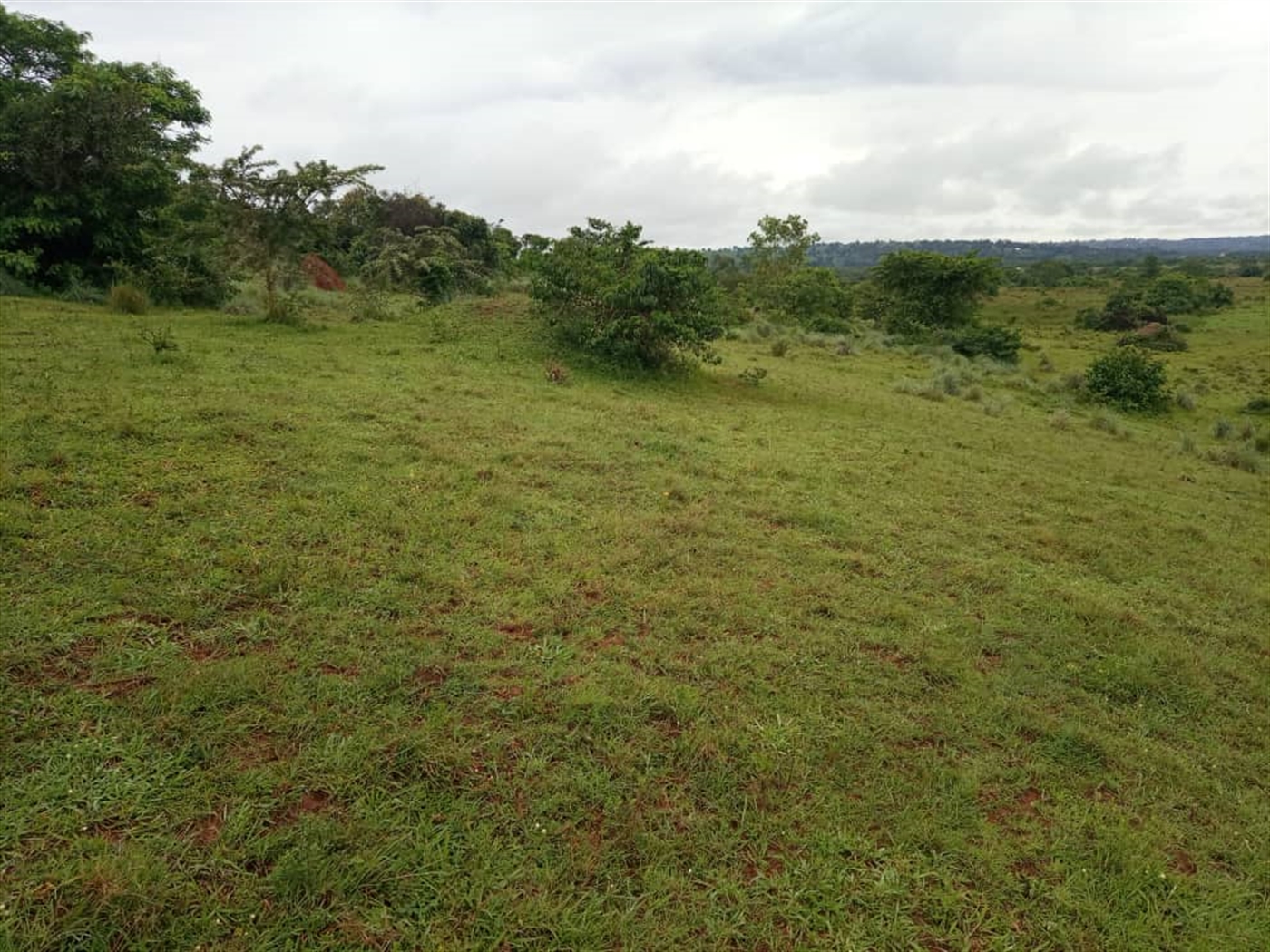 Multipurpose Land for sale in Kanabulemu Masaka