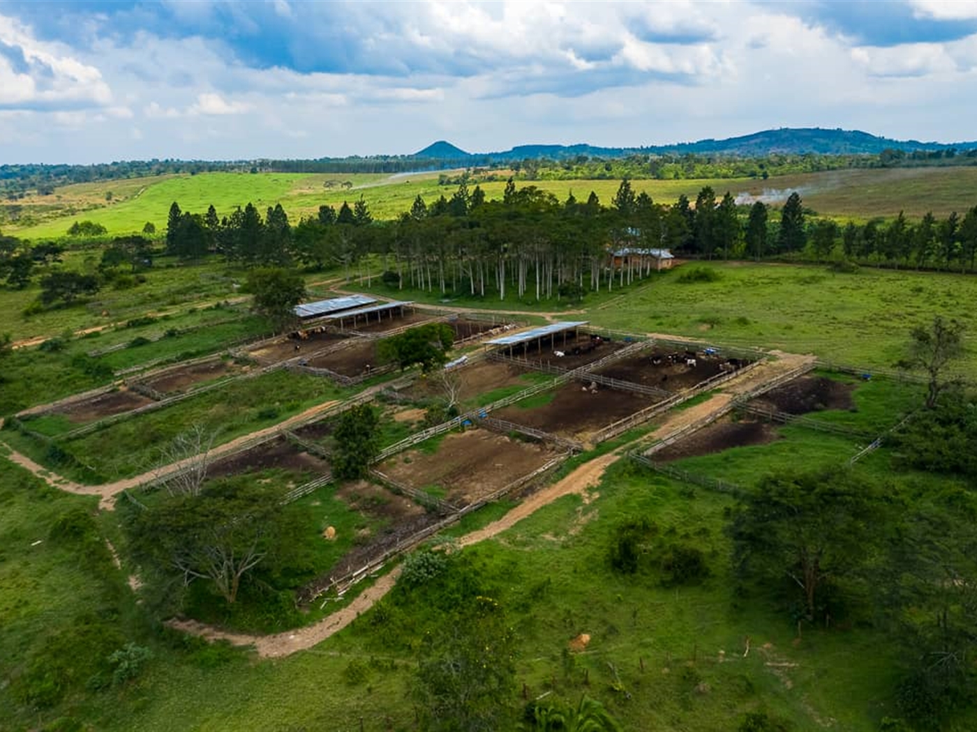 Agricultural Land for sale in Kassanda Mityana