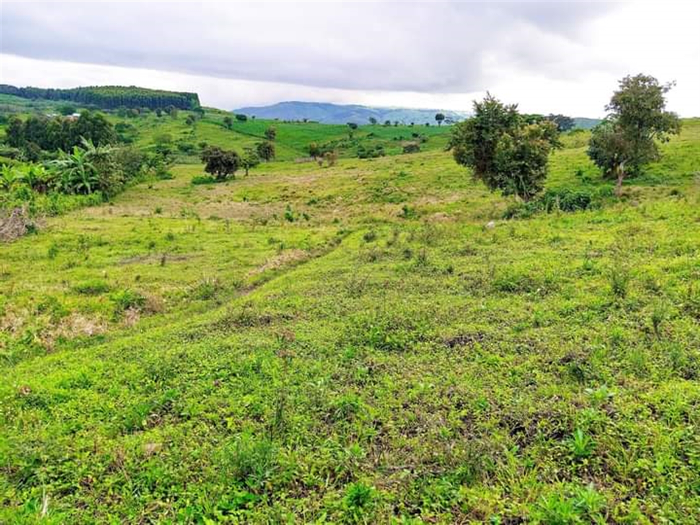 Multipurpose Land for sale in Garuga Wakiso