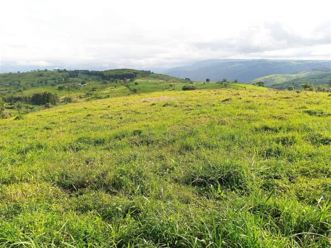 Multipurpose Land for sale in Garuga Wakiso