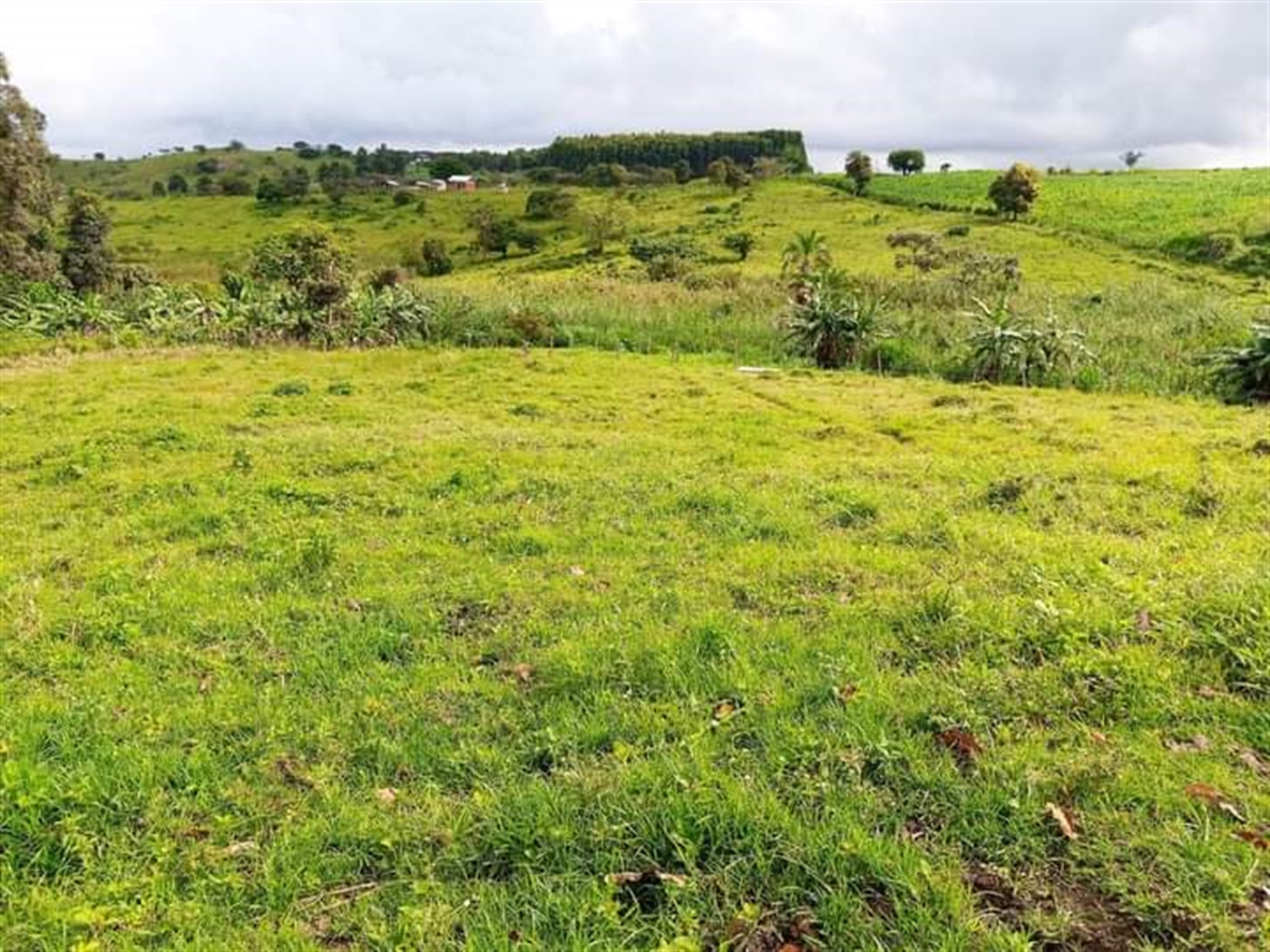 Multipurpose Land for sale in Garuga Wakiso