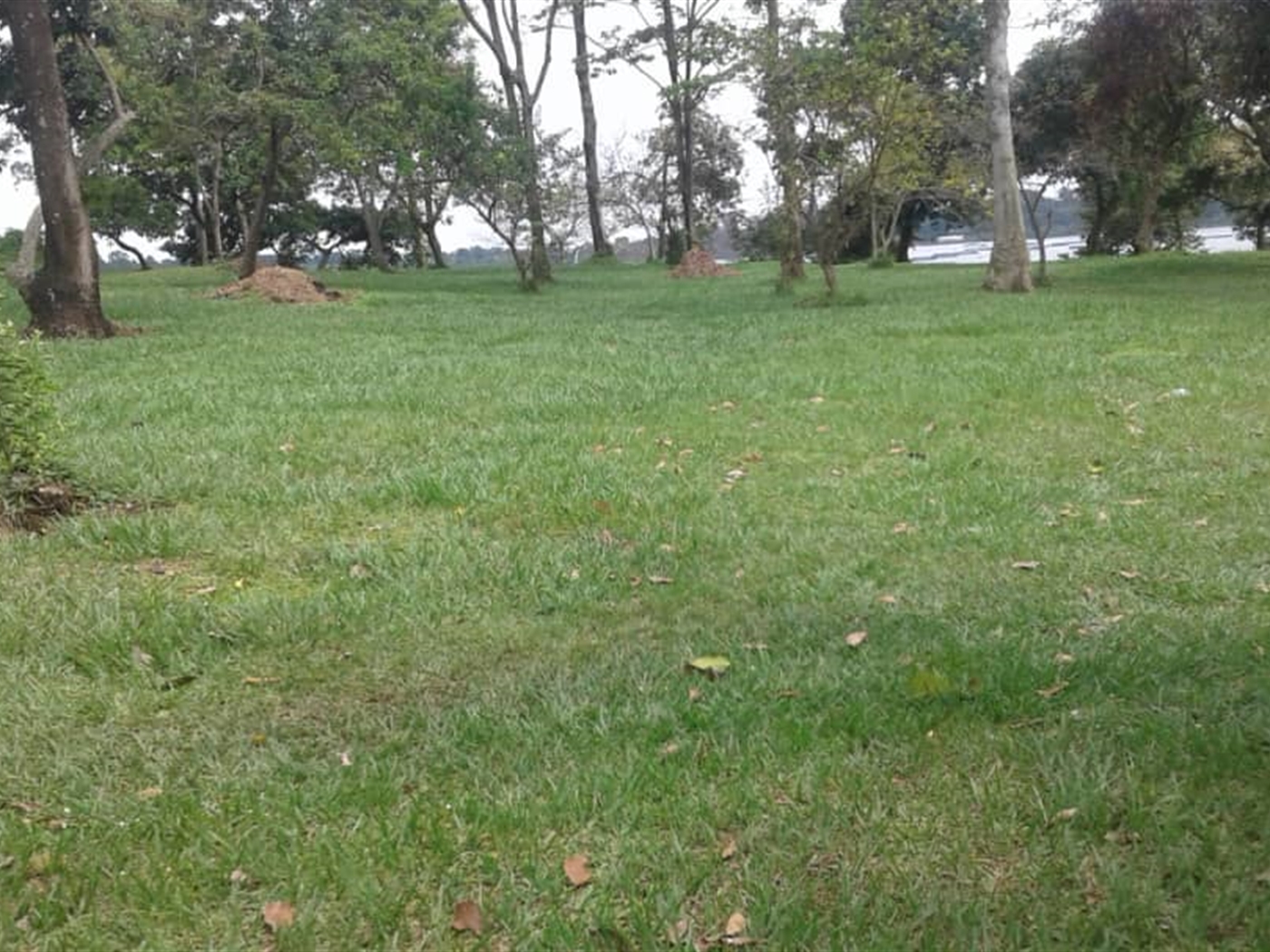 Multipurpose Land for sale in Bugiri Wakiso