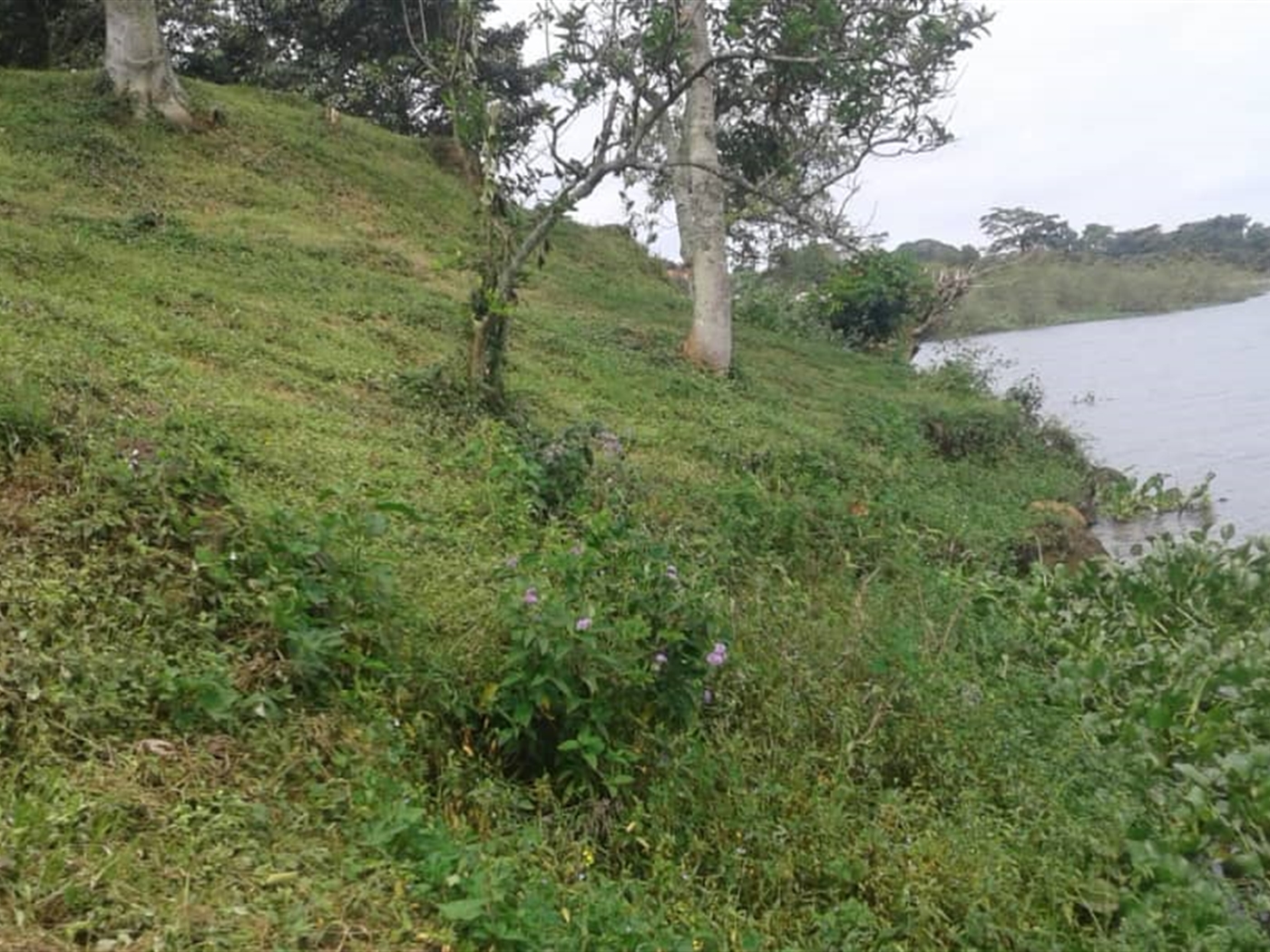 Multipurpose Land for sale in Bujiri Wakiso