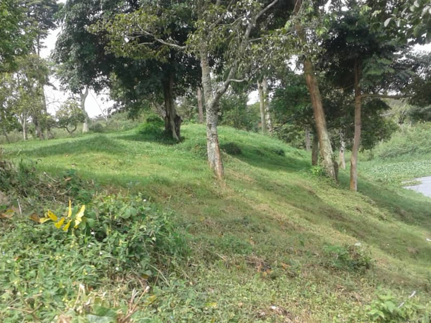 Multipurpose Land for sale in Bugiri Wakiso