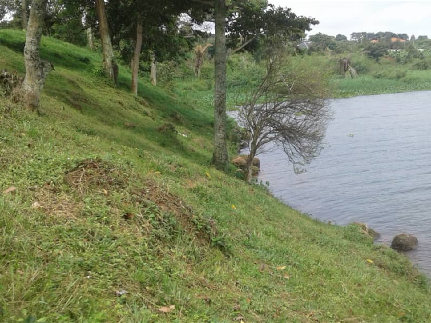 Multipurpose Land for sale in Bujiri Wakiso